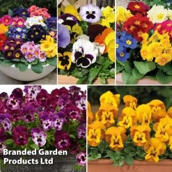 Winter Bedding Best Seller Collection