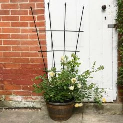 1.2M Garden Fan Trellis