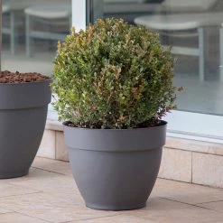 Ninfea Water Reservoir Planters - 26cm