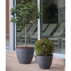 Ninfea Water Reservoir Planters - 26cm -Dobies 505415x