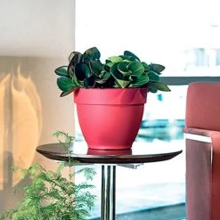 Ninfea Water Reservoir Planters - 26cm -Dobies 505418