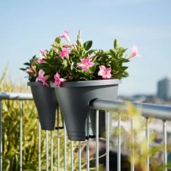 Corsica Flower Bridge -Dobies 590621b