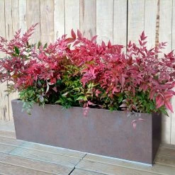 Weathered Iron Planters -Dobies 592499