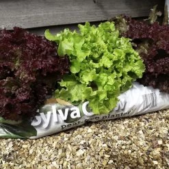 RHS SylvaGrow Peat-free Planter For Organic Growing