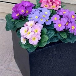 Lux Square Planters -Dobies 593178x