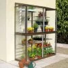 Deluxe 5' Hampton Mini Lean To Greenhouse - Chestnut Brown