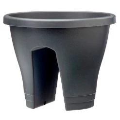 Corsica Flower Bridge -Dobies 593975