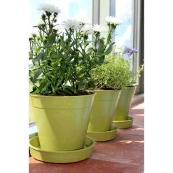 Bamboo & Rice Pots And Saucers – Sage Green -Dobies 597076a