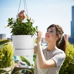 Greenville Hanging Basket