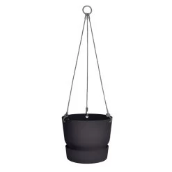 Greenville Hanging Basket -Dobies 597107