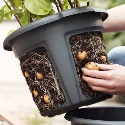 33cm Potato Pot -Dobies 597142B