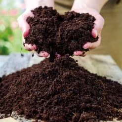 GroChar All Purpose Compost 5 GroChar All Purpose Compost -Dobies 783173a