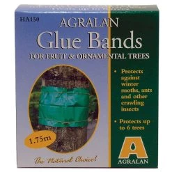 Glue Bands - Ready To Use -Dobies 783297