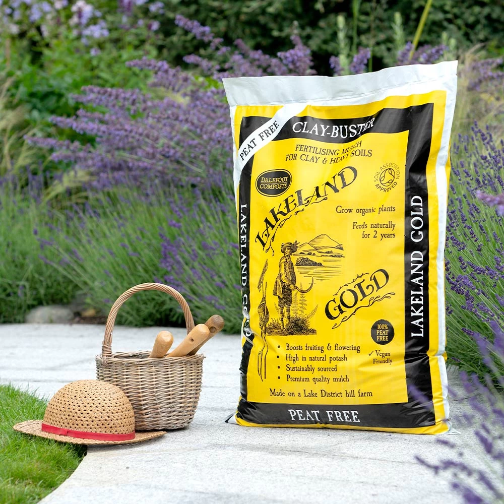 Lakeland Gold 1 Lakeland Gold