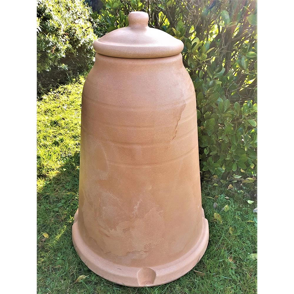 Rhubarb Forcer 1 Rhubarb Forcer