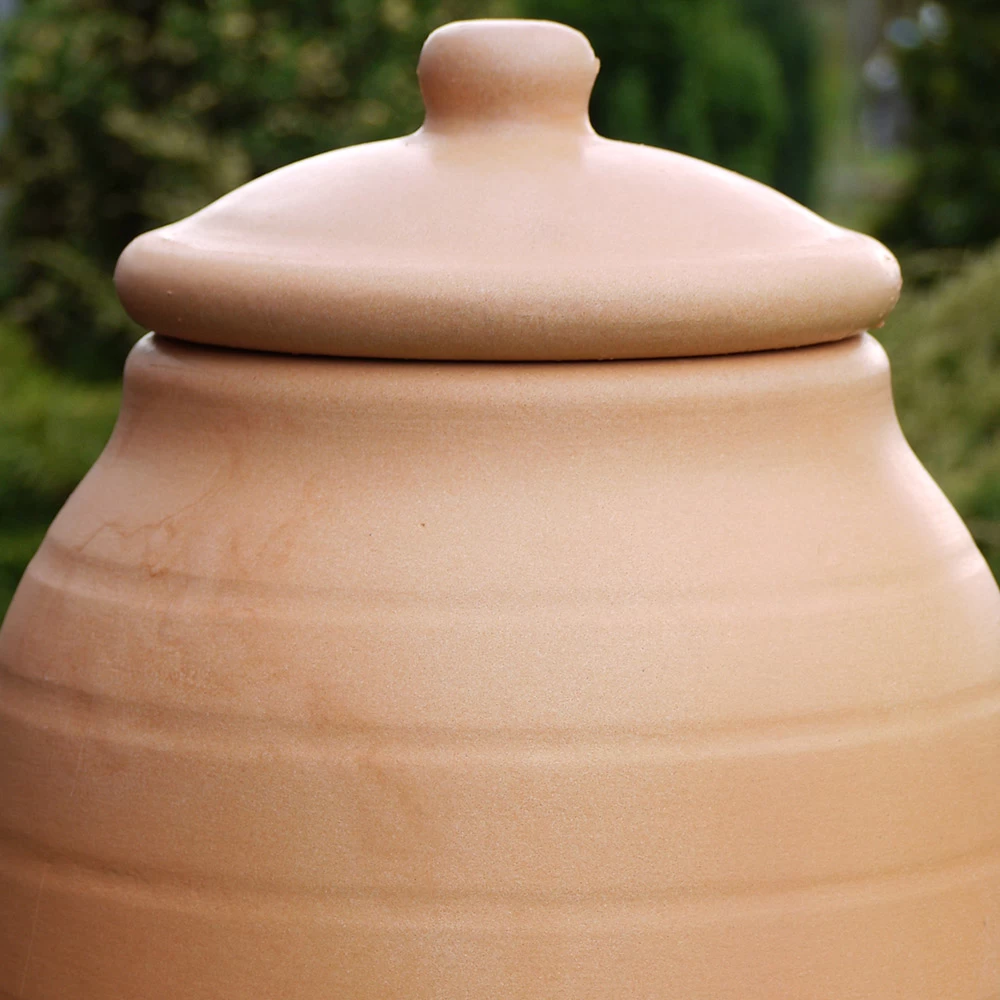 Rhubarb Forcer 2 Rhubarb Forcer - Image 2