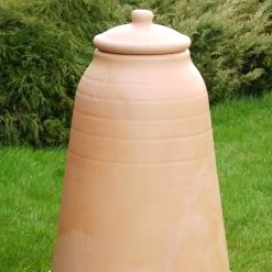 Rhubarb Forcer 6 Rhubarb Forcer -Dobies 783418C