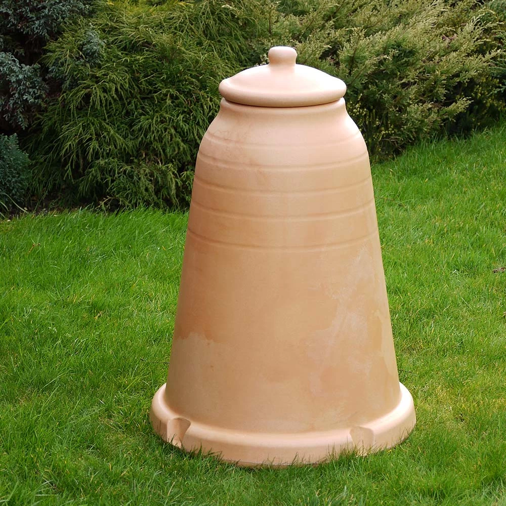 Rhubarb Forcer 4 Rhubarb Forcer - Image 4