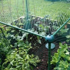 Butterfly Protection Cage