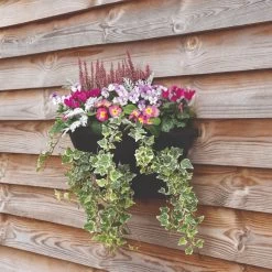 Wall Baskets
