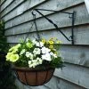 Garden Grow Hanging Basket Wall Bracket 25cm X 36cm