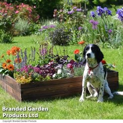 Garden Life Wooden Raised Garden Bed 16 Garden Life Wooden Raised Garden Bed -Dobies BEDS WOODLARGE T50220