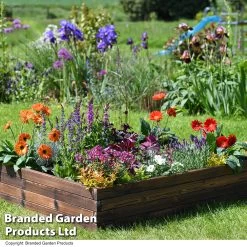 Garden Life Wooden Raised Garden Bed 17 Garden Life Wooden Raised Garden Bed -Dobies BEDS WOODLARGE T50222