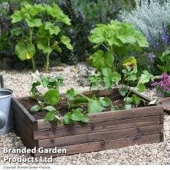 Garden Life Wooden Raised Garden Bed 21 Garden Life Wooden Raised Garden Bed -Dobies BEDS WOODMEDIU T50214