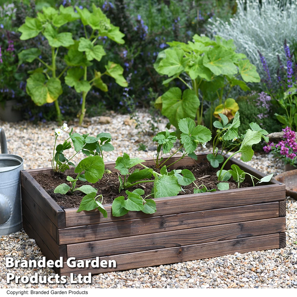 Garden Life Wooden Raised Garden Bed 8 Garden Life Wooden Raised Garden Bed - Image 8