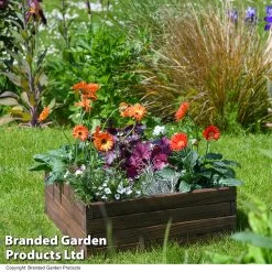 Garden Life Wooden Raised Garden Bed 26 Garden Life Wooden Raised Garden Bed -Dobies BEDS WOODSMALL T502021