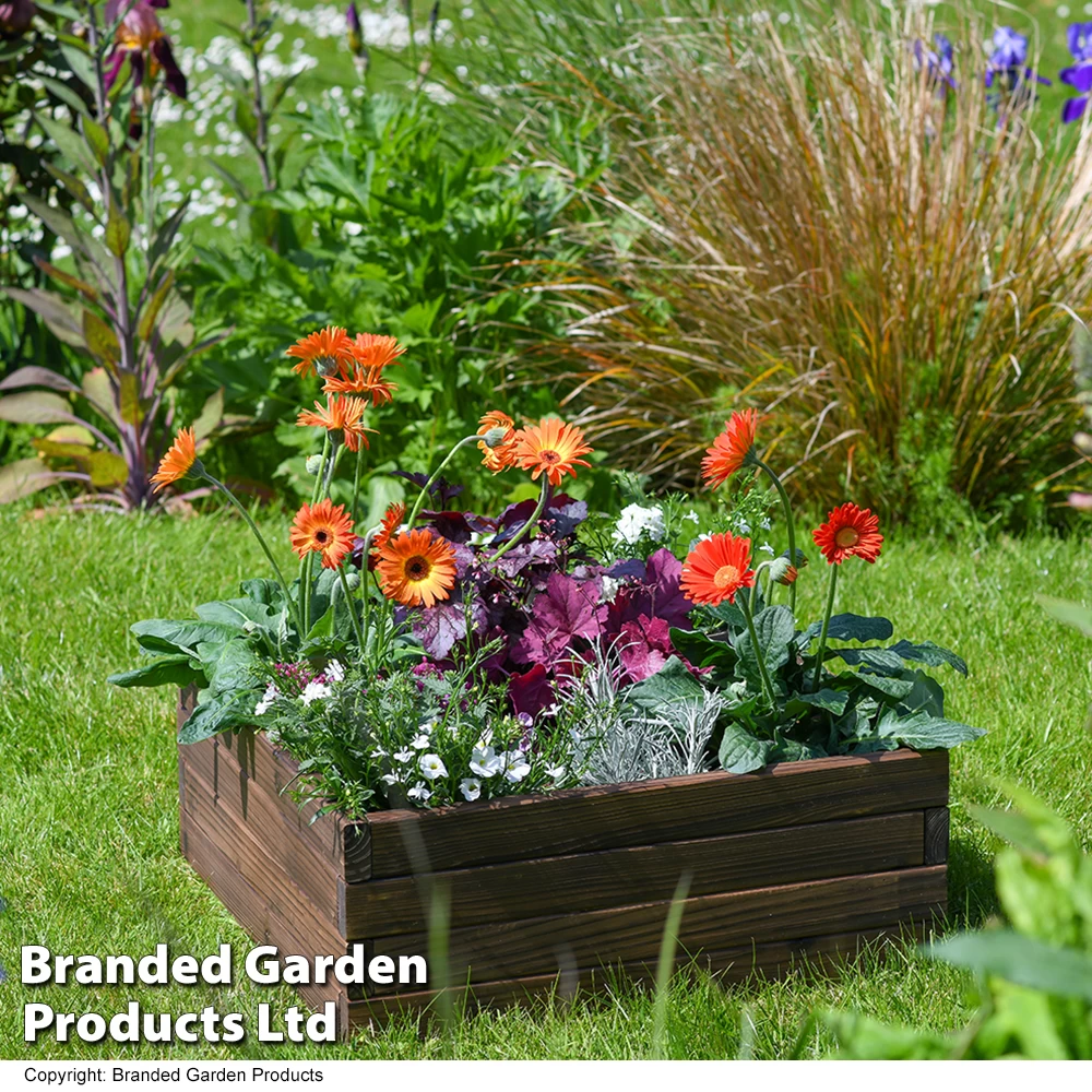 Garden Life Wooden Raised Garden Bed 13 Garden Life Wooden Raised Garden Bed - Image 13