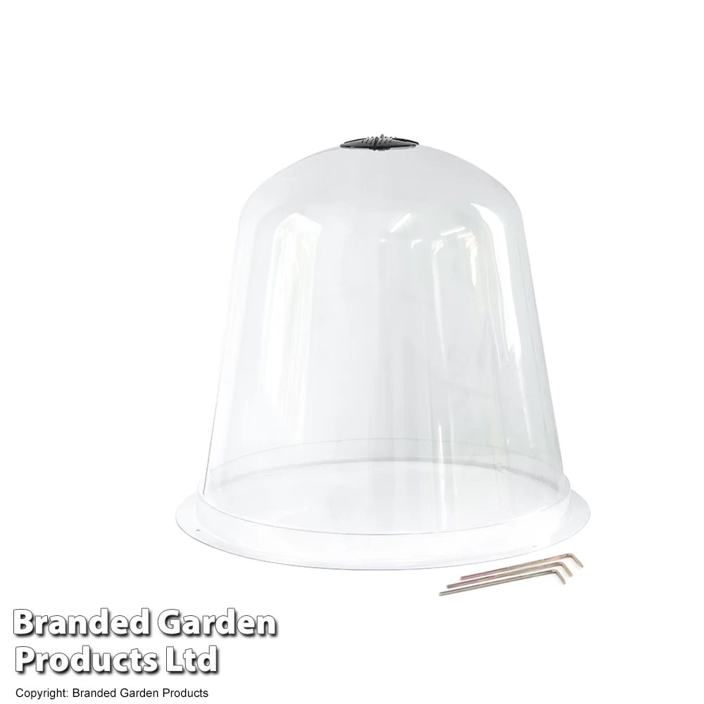 Bell Cloche 2 Bell Cloche - Image 2