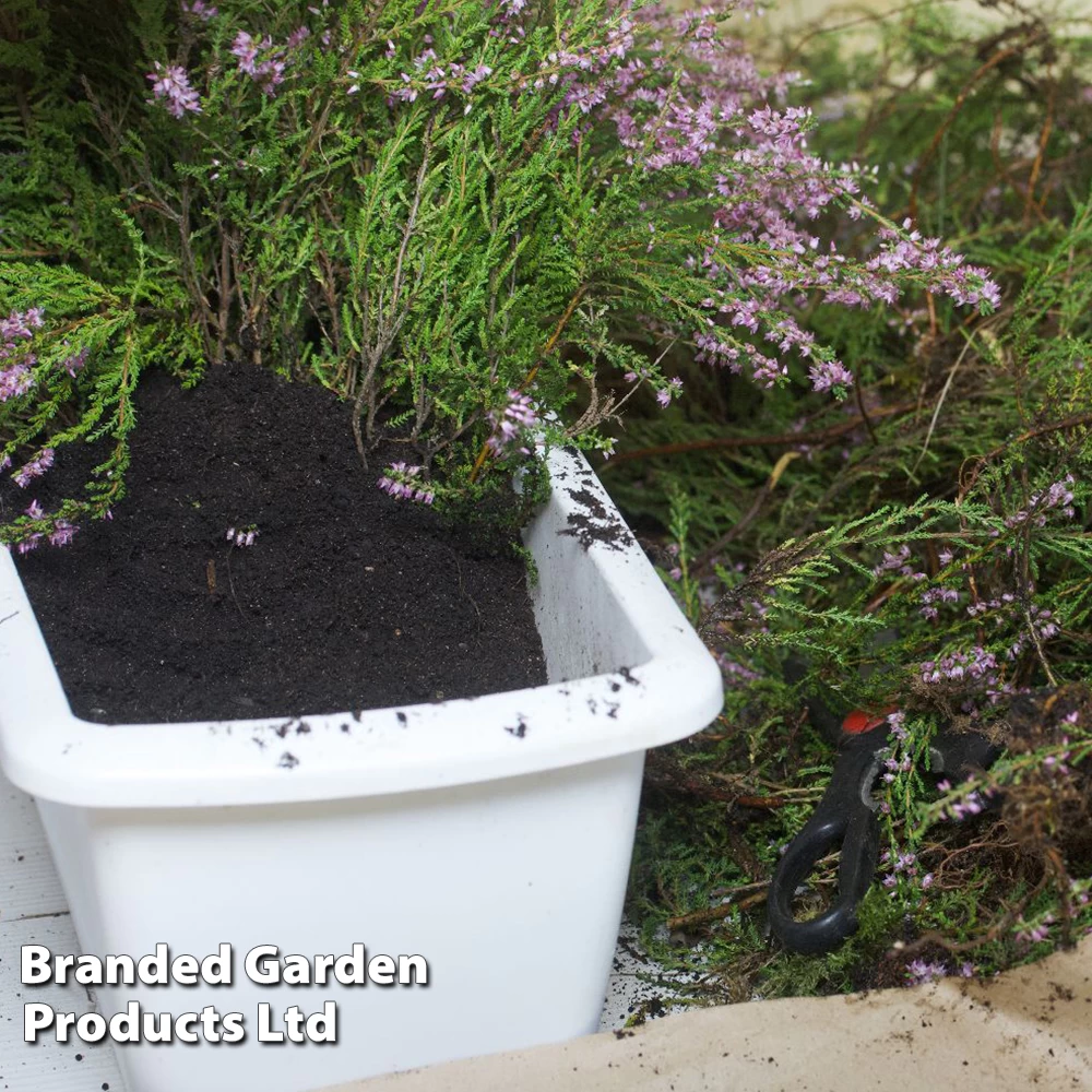 Ericaceous Compost 4 Ericaceous Compost - Image 4