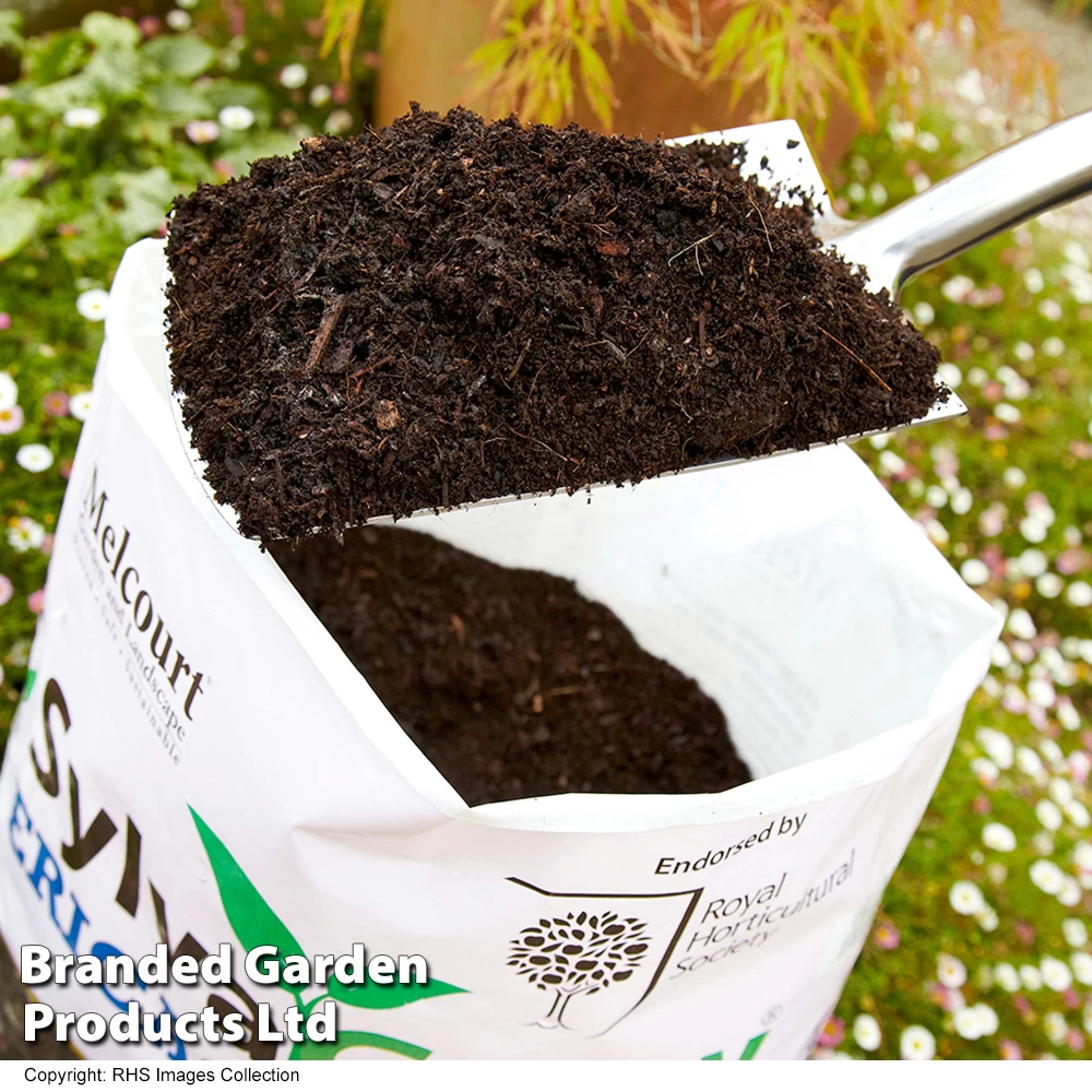 Ericaceous Compost 3 Ericaceous Compost - Image 3
