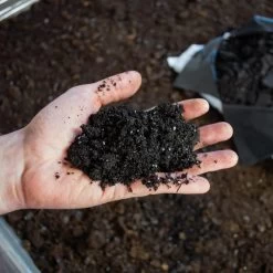 Ericaceous Compost