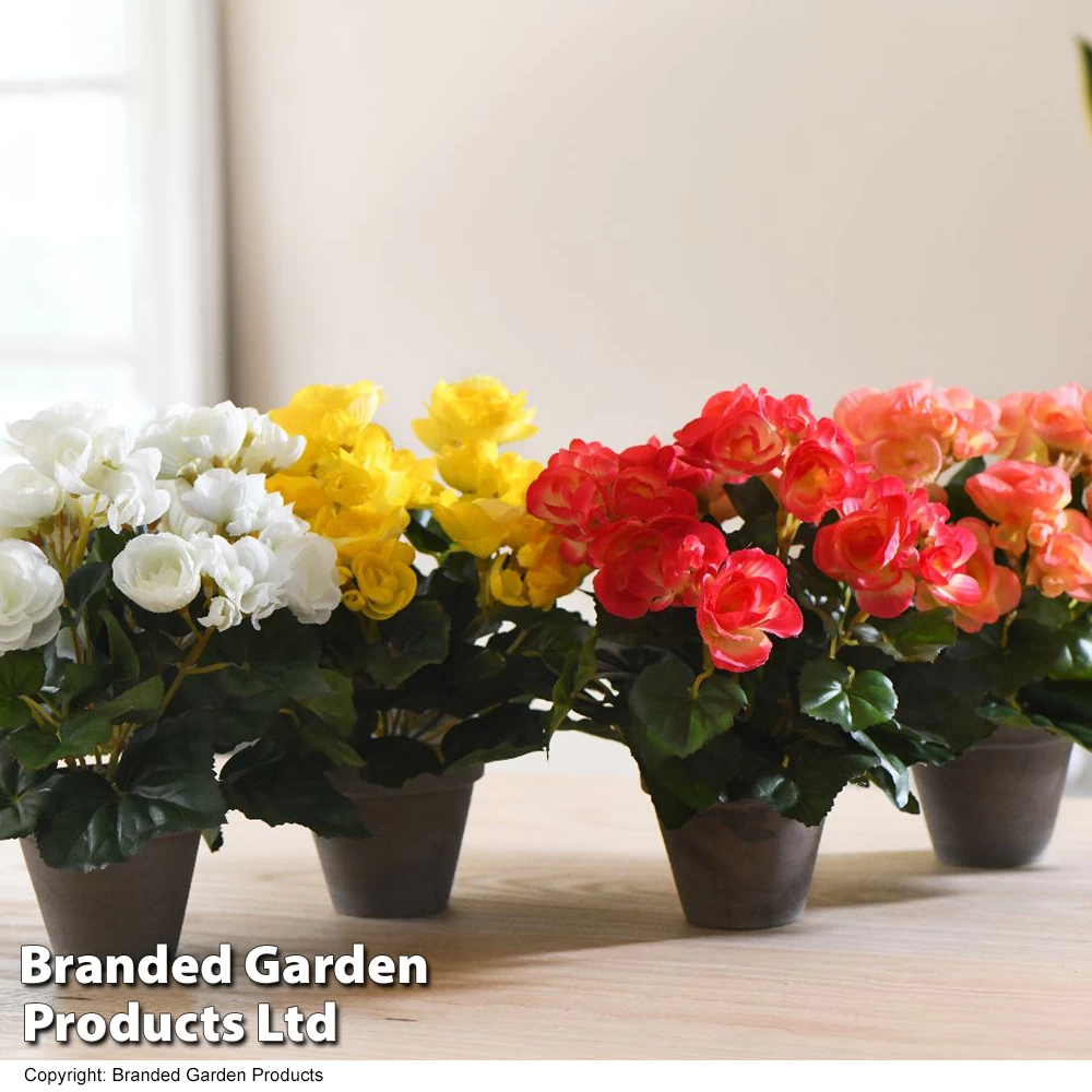 Artificial Begonia In Grey Pot Colour Collection 2 Artificial Begonia In Grey Pot Colour Collection - Image 2