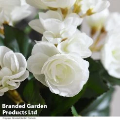 Artificial Begonia White In Grey Pot -Dobies FAUX BEGONIAWH T48459