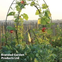 Circular Plant Growing Frame -Dobies FRAM LONDONEYE S41918