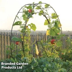 Circular Plant Growing Frame