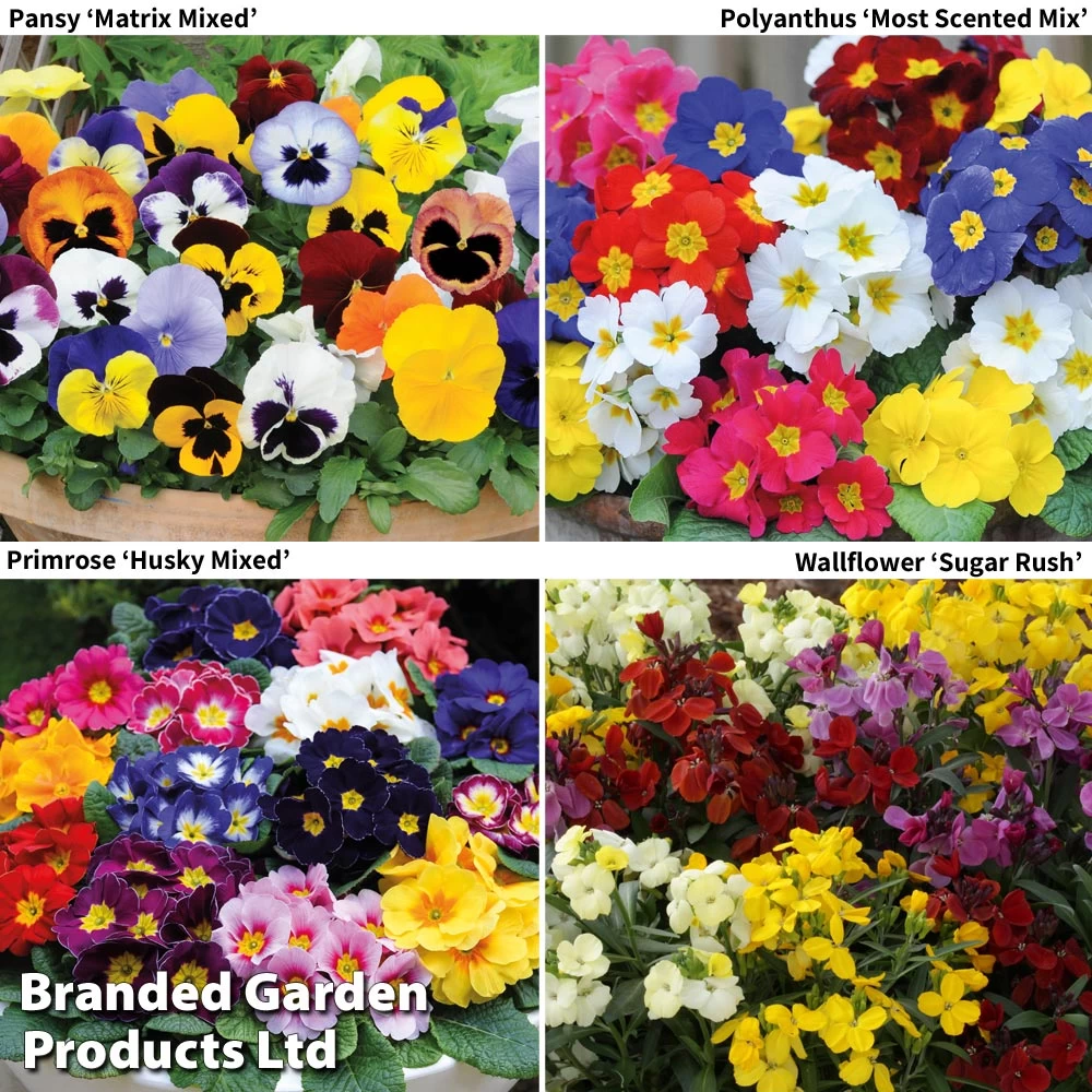 Garden Ready Autumn Collection 1 Garden Ready Autumn Collection