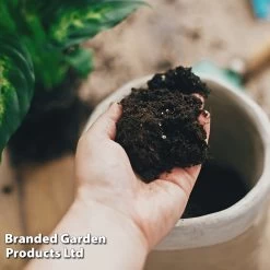 Incredicompost Peat Free Houseplant -Dobies INCR COMPHOUSE L29533