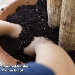 Incredicompost Peat Free Houseplant -Dobies INCR COMPHOUSE L29534