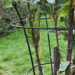 Peony & Herbaceous Perennial Frame -Dobies KA9263b