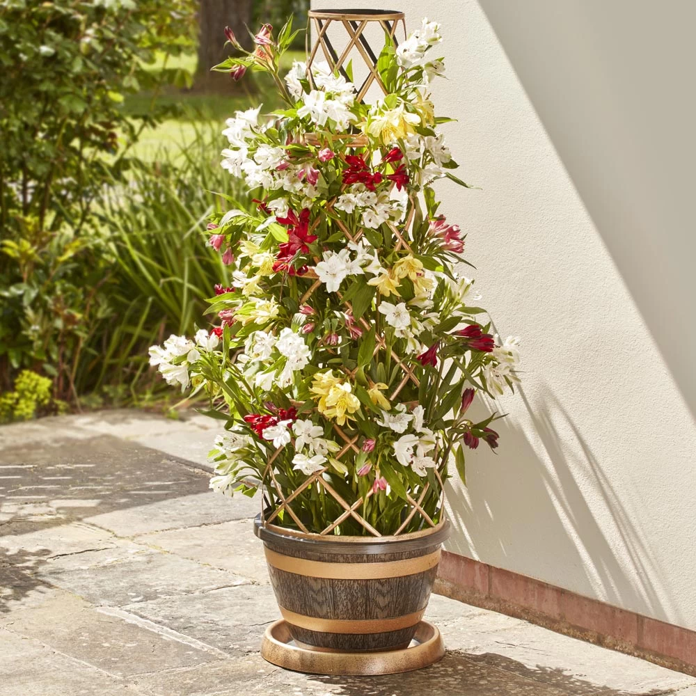 Tower Pot Barrel Effect 1 Tower Pot Barrel Effect