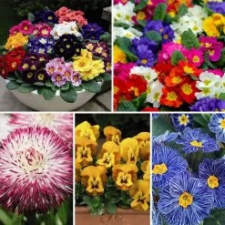 Nurseryman's Choice Winter Bedding