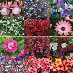 Nurserymans Choice Hanging Basket Collection