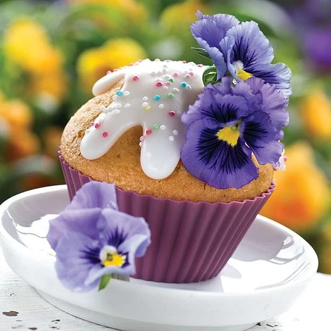 Viola Winter Duo 2 Viola Winter Duo - Image 2