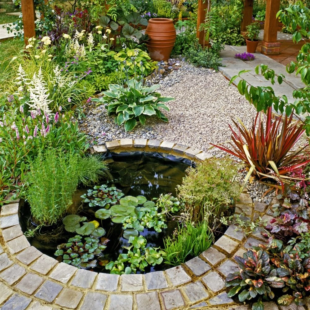 Phormium Rainbow Queen 2 Phormium Rainbow Queen - Image 2