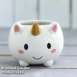Planted Unicorn Pot With Gold Horn - Gift -Dobies POTS UNICORN T083291