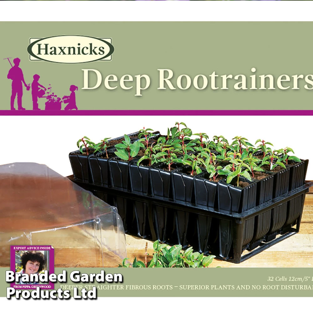 Deep Root Trainers 2 Deep Root Trainers - Image 2